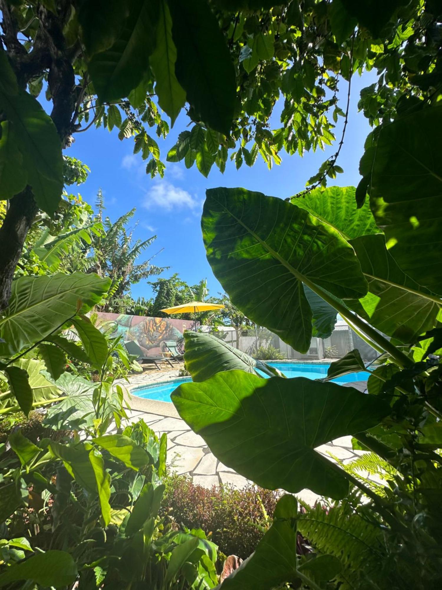 Lendormi - Maison Avec Piscine - Sainte Rose Экстерьер фото